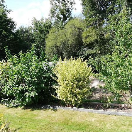 Au Coeur Du Jardin Villa La Boussac Buitenkant foto