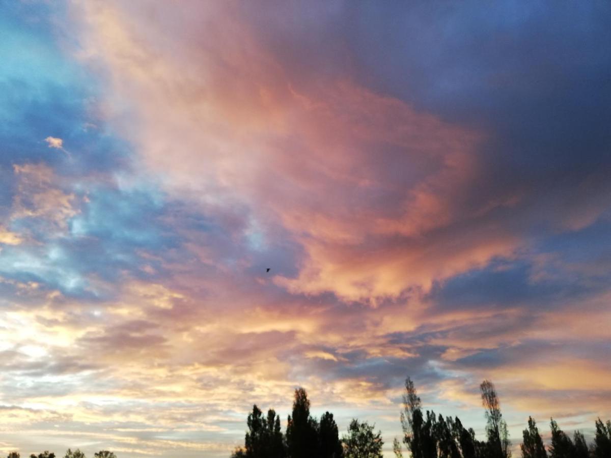 Au Coeur Du Jardin Villa La Boussac Buitenkant foto