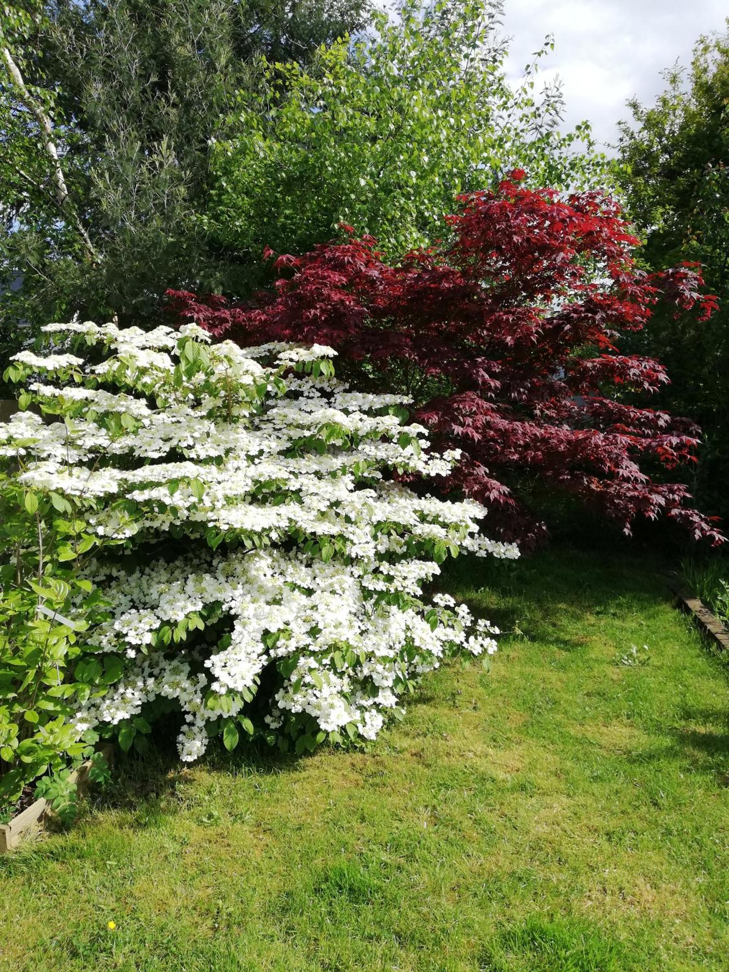 Au Coeur Du Jardin Villa La Boussac Buitenkant foto